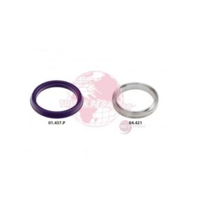 TMSK.001.P (grupa 6.)
