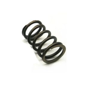 A10VD71 - Opruga zavojnice (Coil spring)
